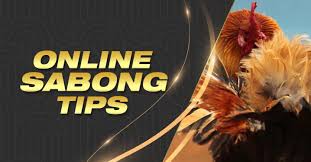Sabong